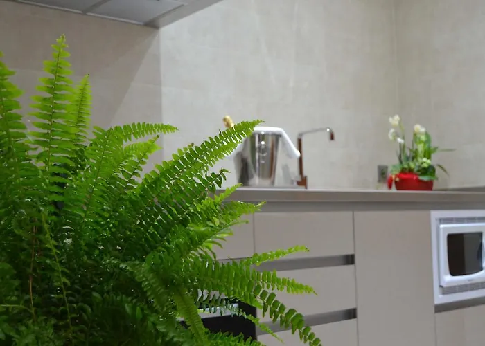 Apartamento Santa Eulalia